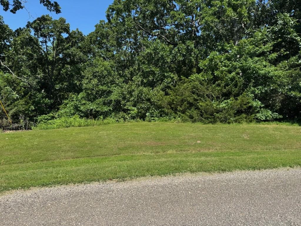 Lot 68 Southeast 591st Road Warrensburg, MO 64093 - Photo 4 of 15