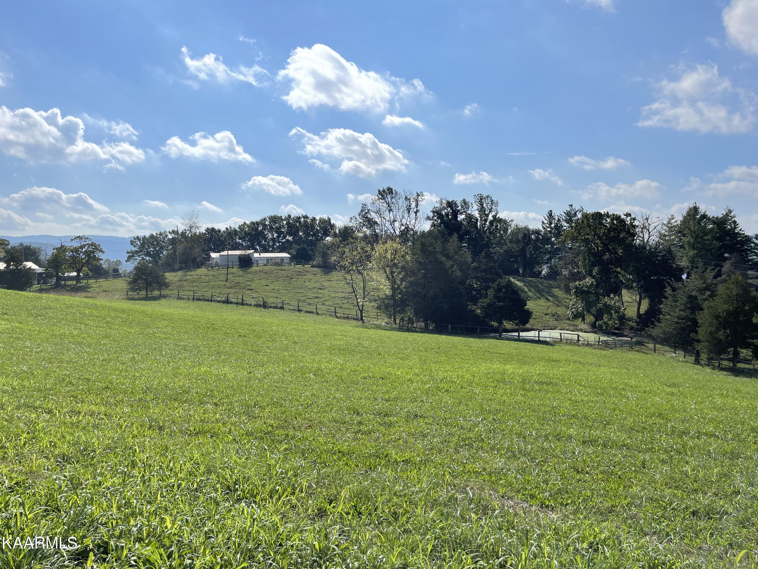 433 Barker Road New Tazewell, TN 37825 - Photo 11 of 36 11
