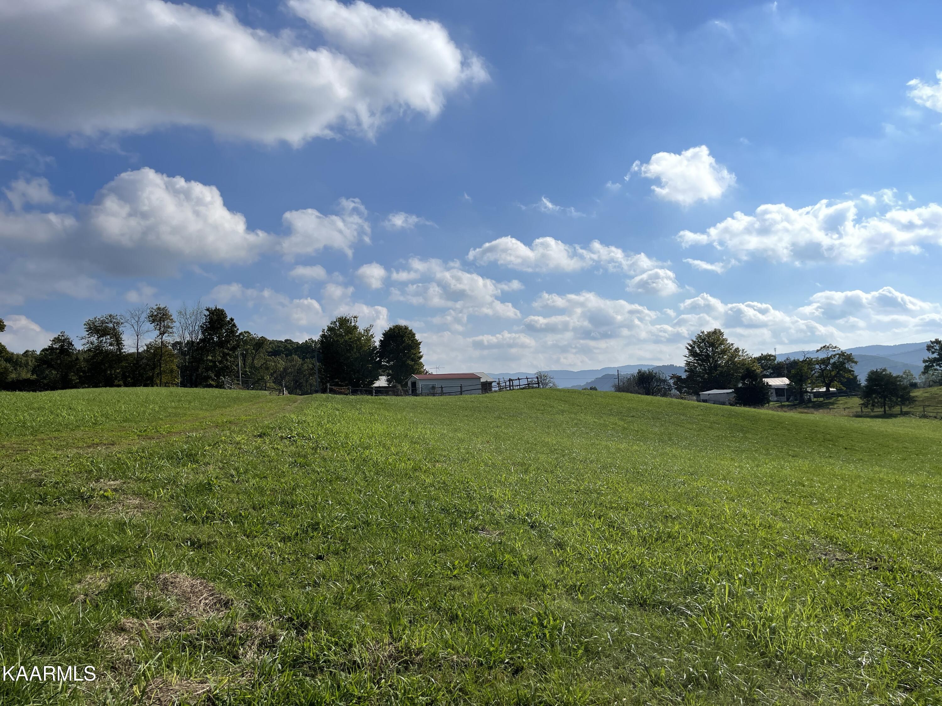 433 Barker Road New Tazewell, TN 37825 - Photo 12 of 36 12