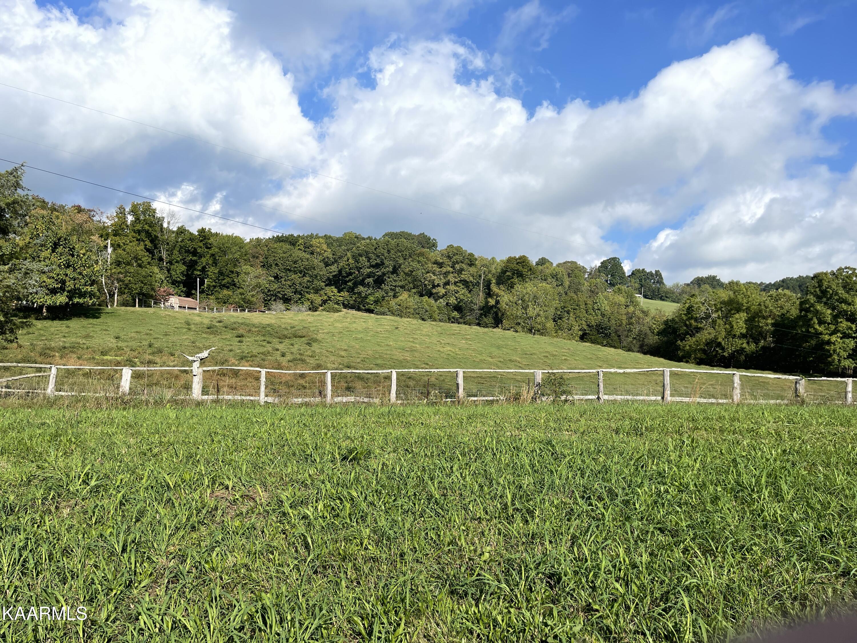 433 Barker Road New Tazewell, TN 37825 - Photo 15 of 36 15