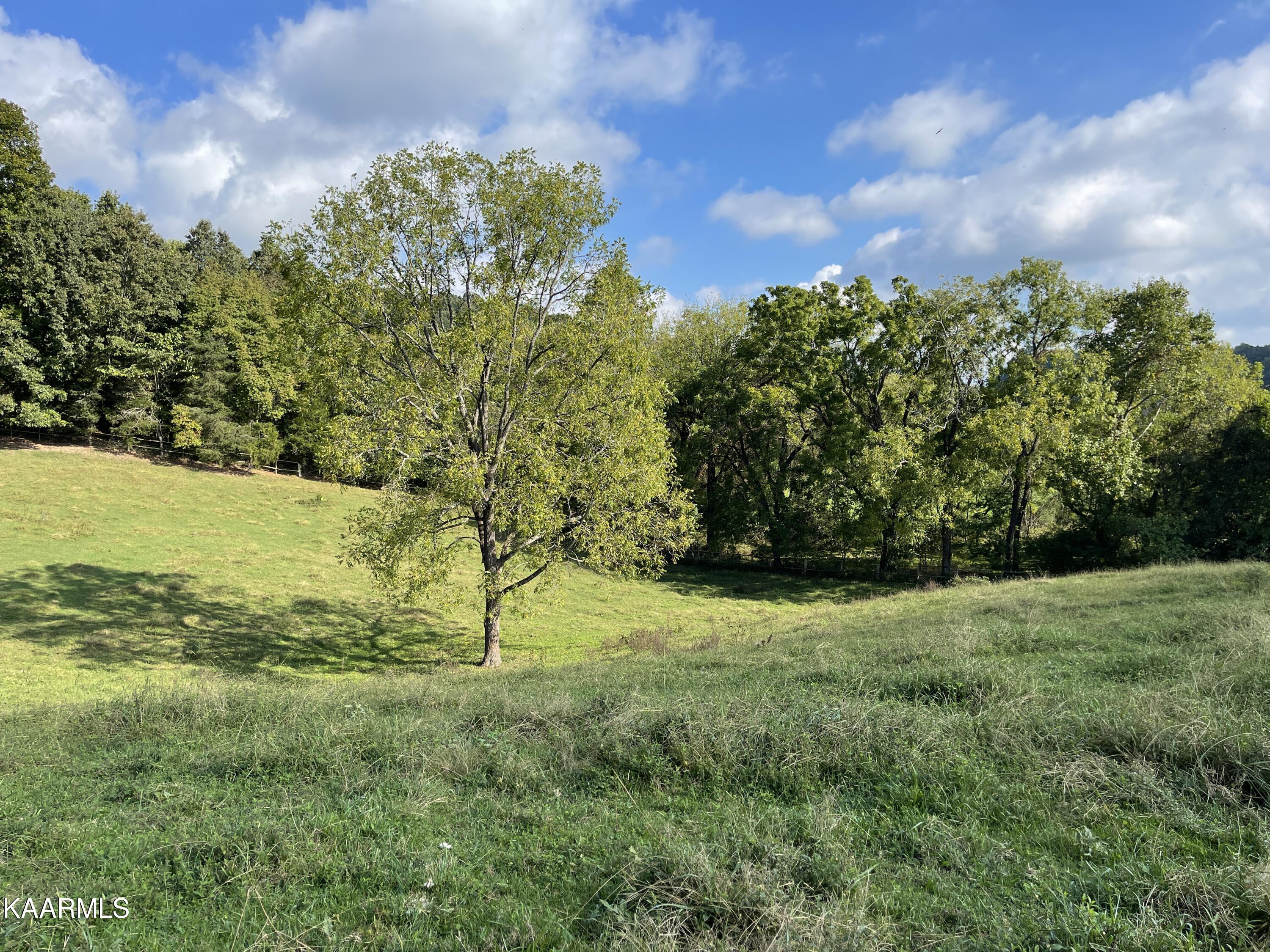 433 Barker Road New Tazewell, TN 37825 - Photo 17 of 36 17