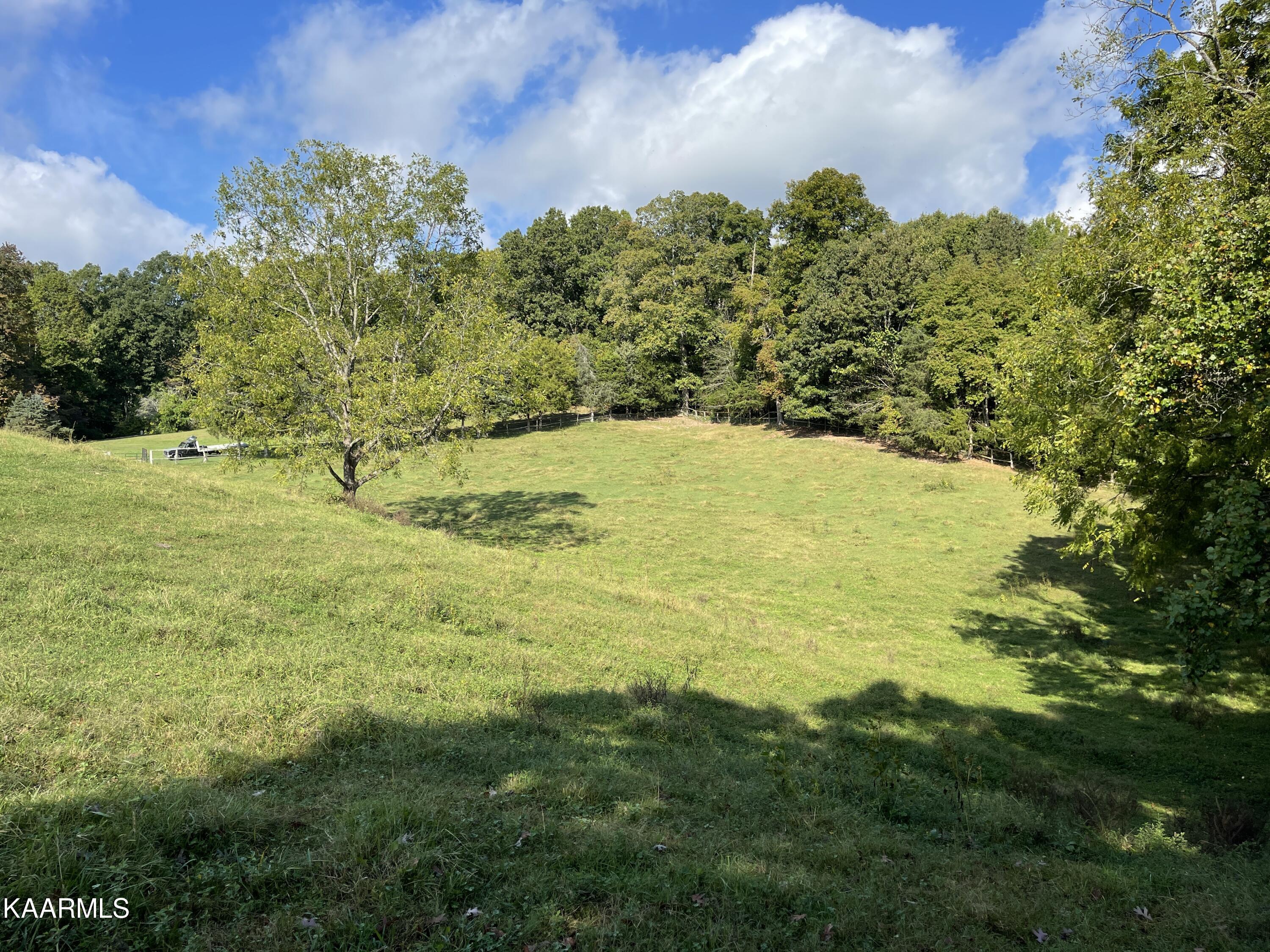 433 Barker Road New Tazewell, TN 37825 - Photo 18 of 36 18