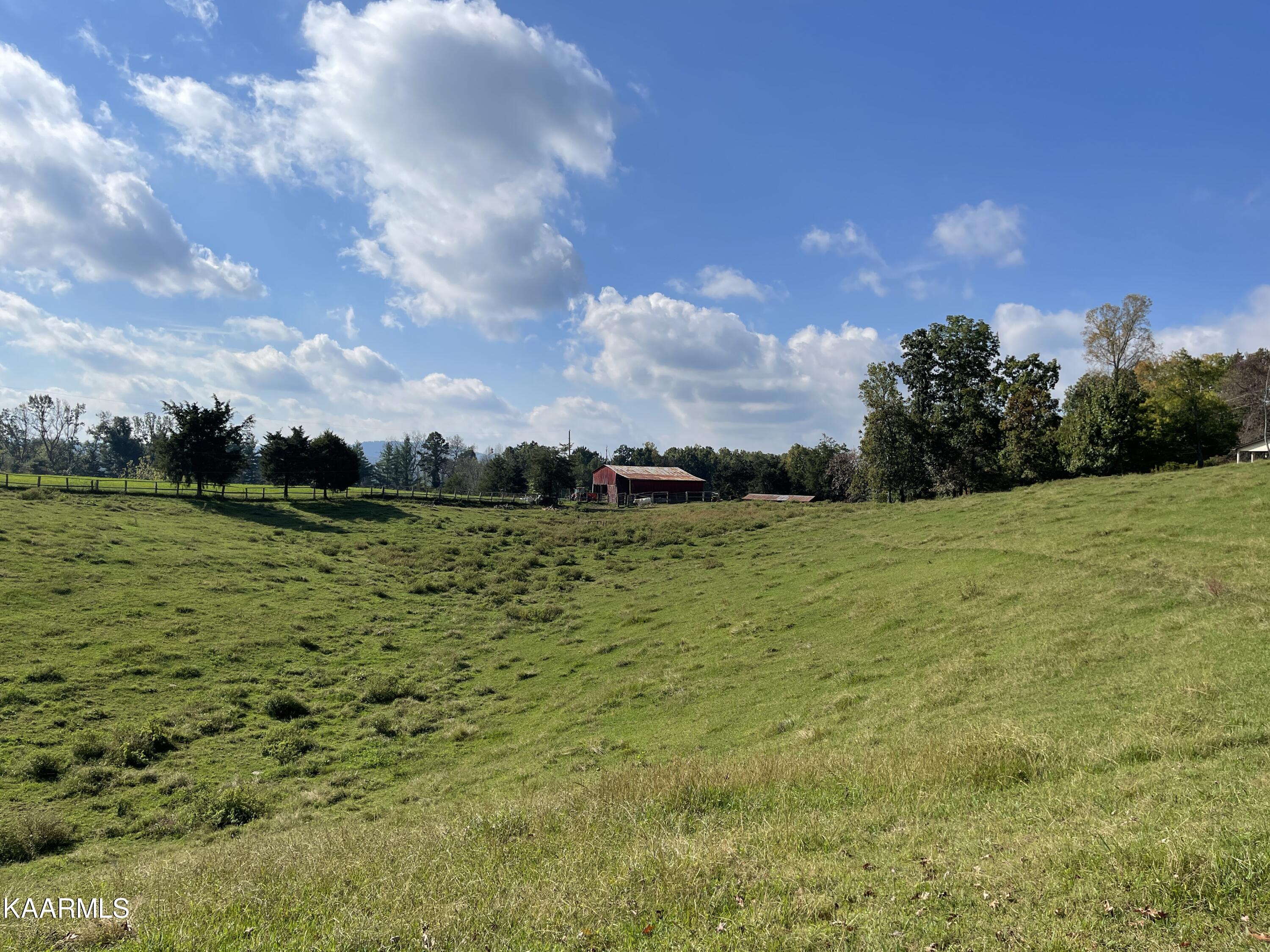 433 Barker Road New Tazewell, TN 37825 - Photo 19 of 36 19