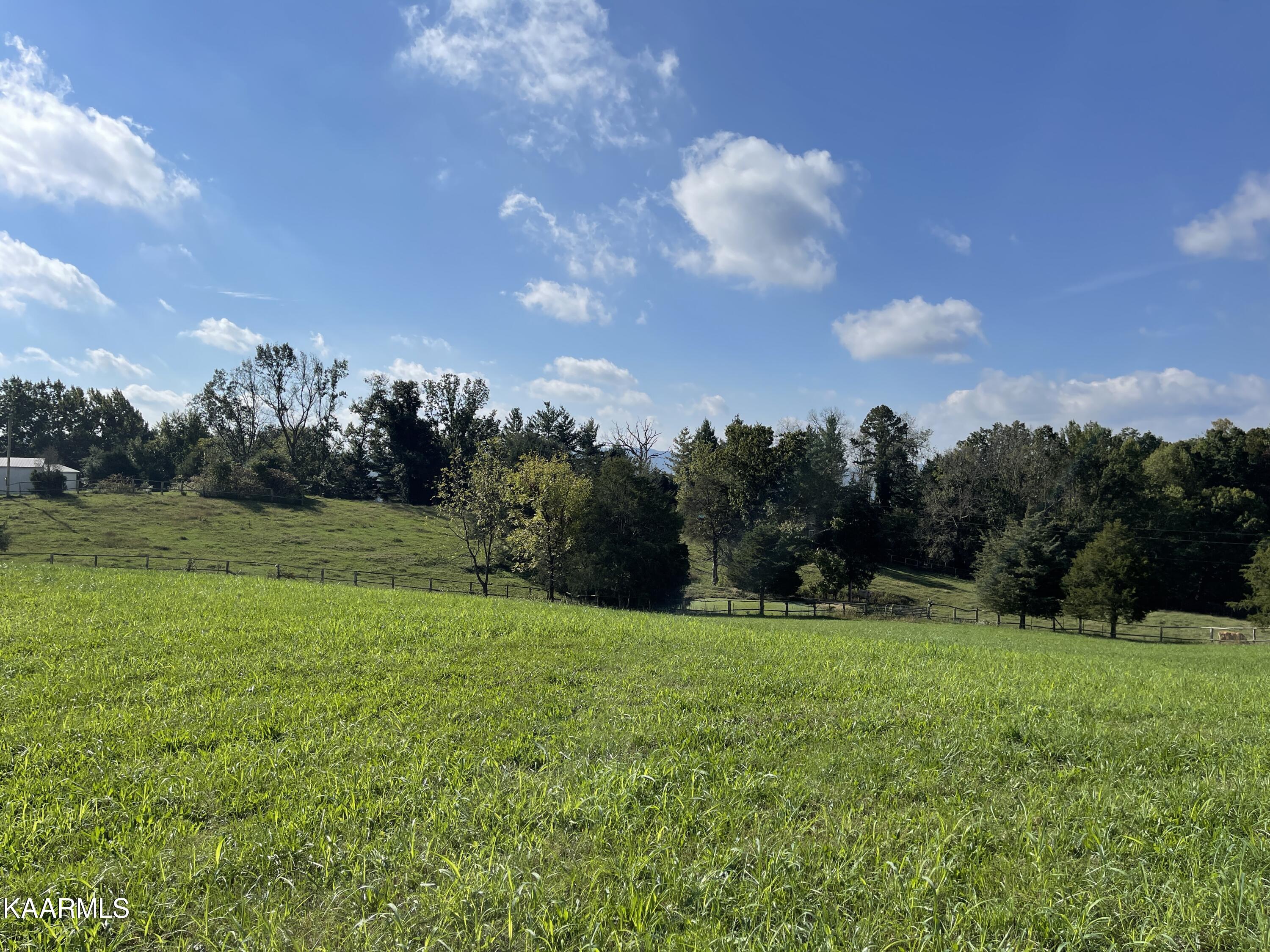 433 Barker Road New Tazewell, TN 37825 - Photo 9 of 36 9