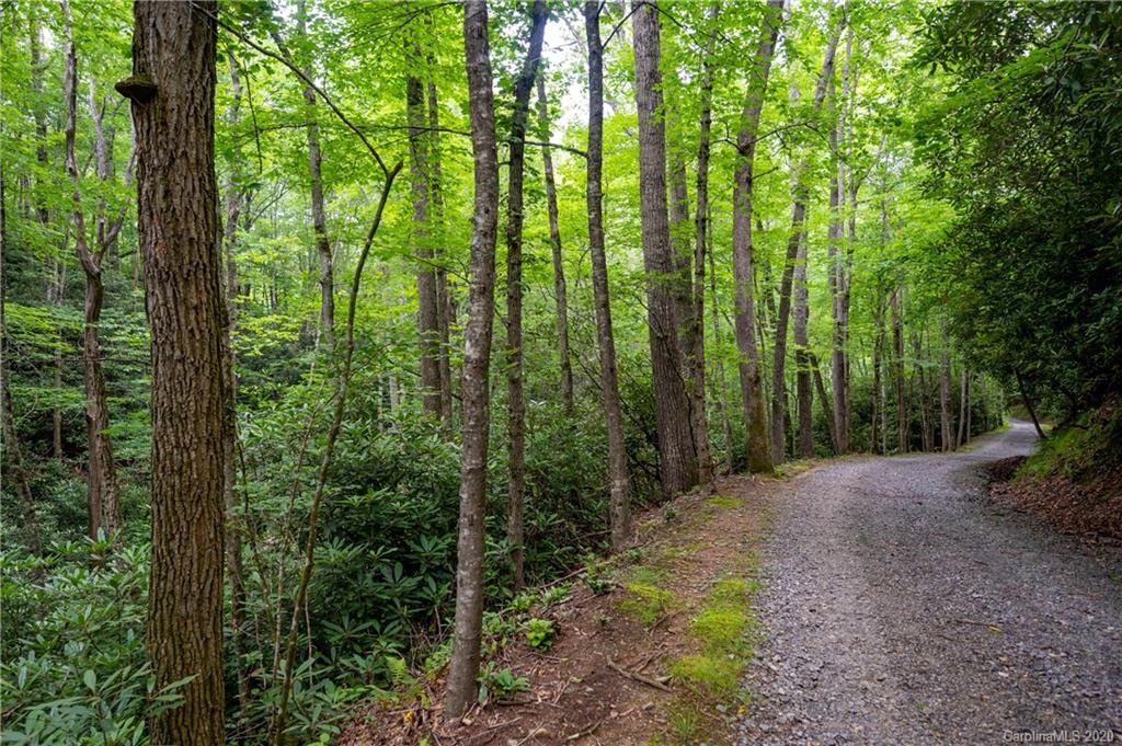 682 Clinic Road Balsam Grove, NC 28708 - Photo 20 of 37 Gallery Image 20