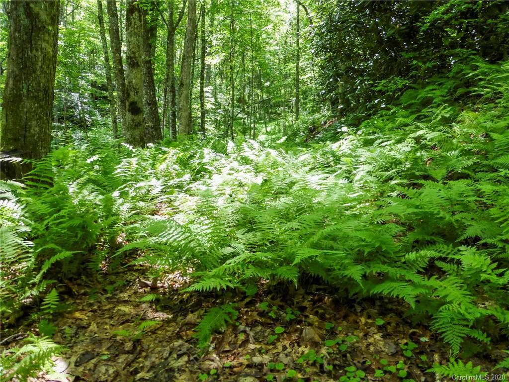 682 Clinic Road Balsam Grove, NC 28708 - Photo 23 of 37 Gallery Image 23
