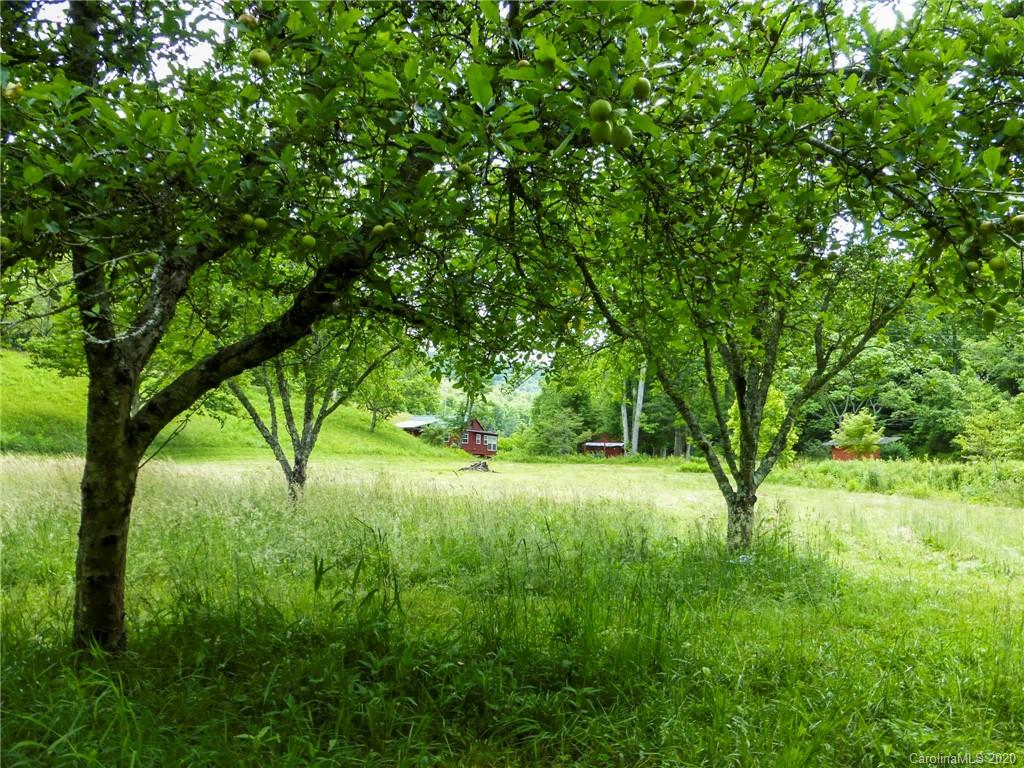 682 Clinic Road Balsam Grove, NC 28708 - Photo 30 of 37 Gallery Image 30