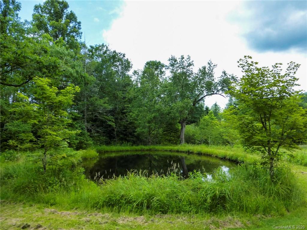 682 Clinic Road Balsam Grove, NC 28708 - Photo 31 of 37 Gallery Image 31