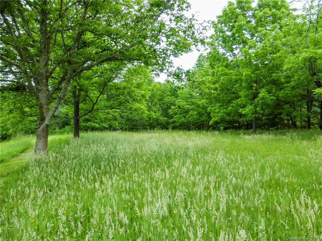 682 Clinic Road Balsam Grove, NC 28708 - Photo 33 of 37 Gallery Image 33