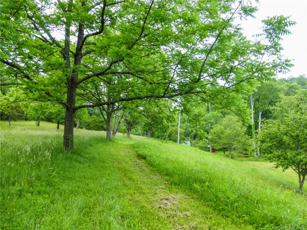 682 Clinic Road Balsam Grove, NC 28708 - Photo 34 of 37 Gallery Image 34