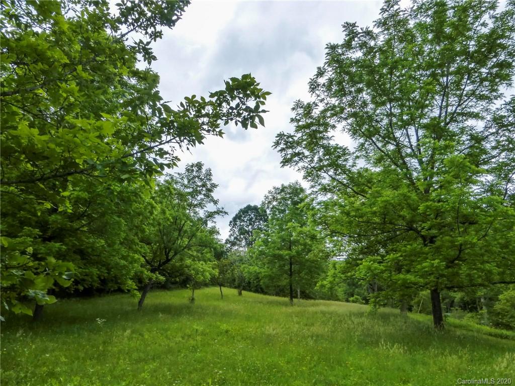 682 Clinic Road Balsam Grove, NC 28708 - Photo 35 of 37 Gallery Image 35