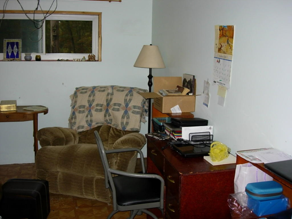 3794 Peacock Road Wellston, MI 49689 - Photo 10 of 16 DSCN1602