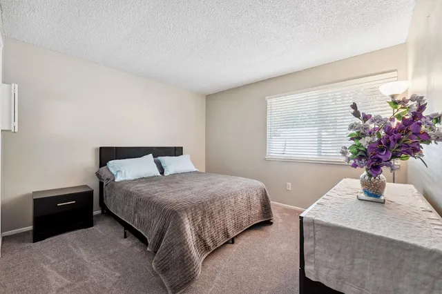 a bedroom with a bed potted plant and a window