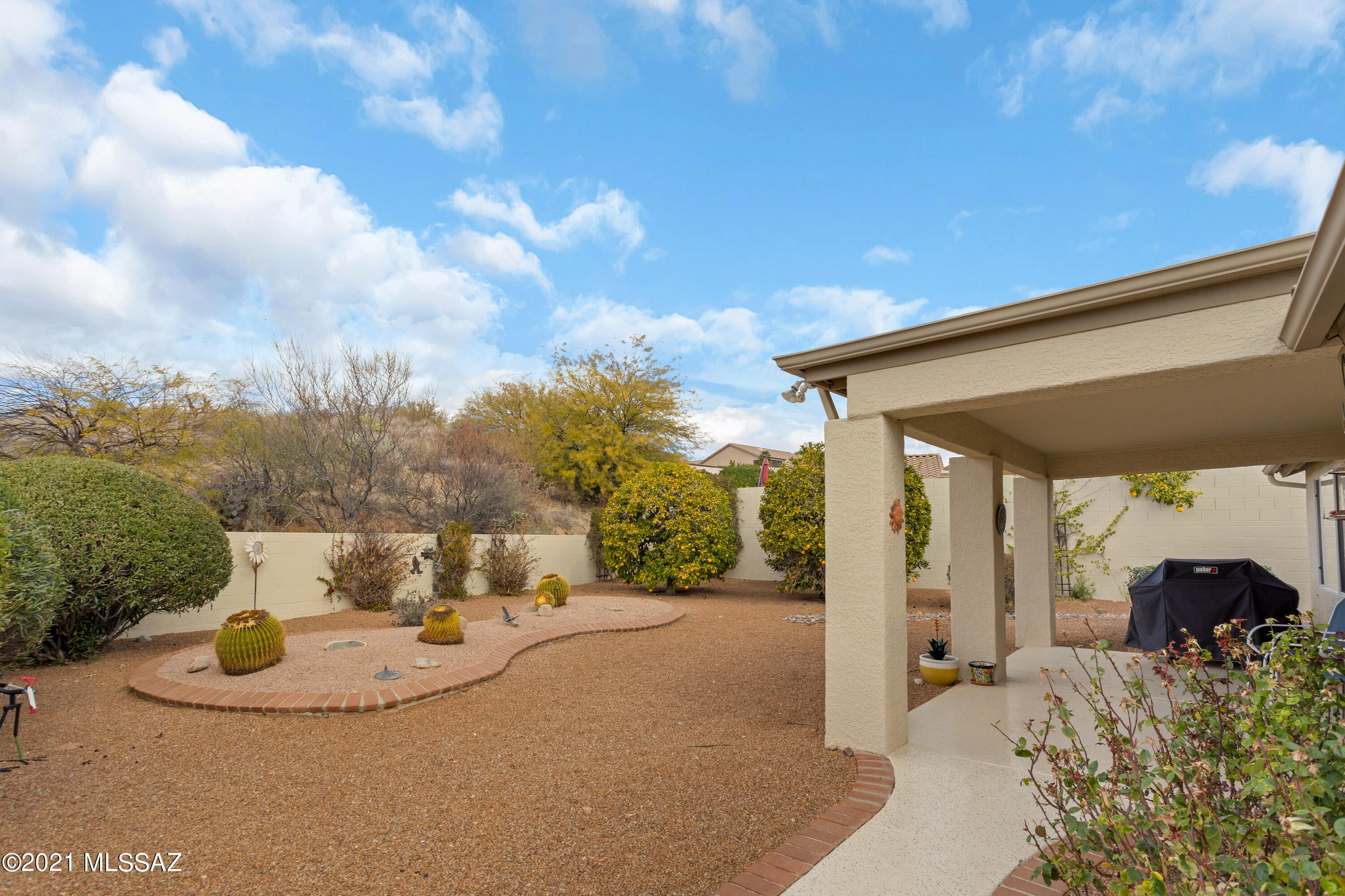 38120 South Stone Ridge Court Tucson, AZ 85739 - Photo 27 of 27