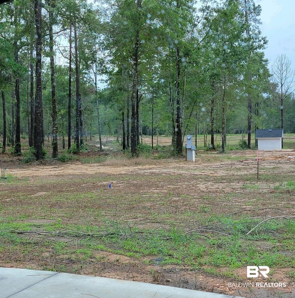 Lot 10 Wildflower Trail Daphne, AL 36527 - Photo 1 of 7