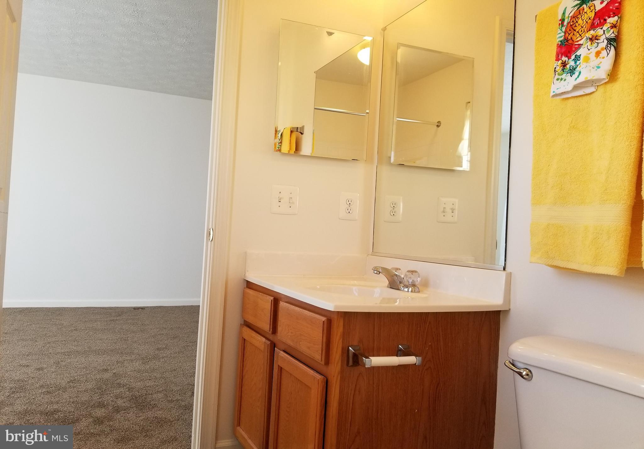 9736 Selfridge Road Baltimore, MD 21220 - Photo 12 of 35 a bathroom with a sink and a mirror