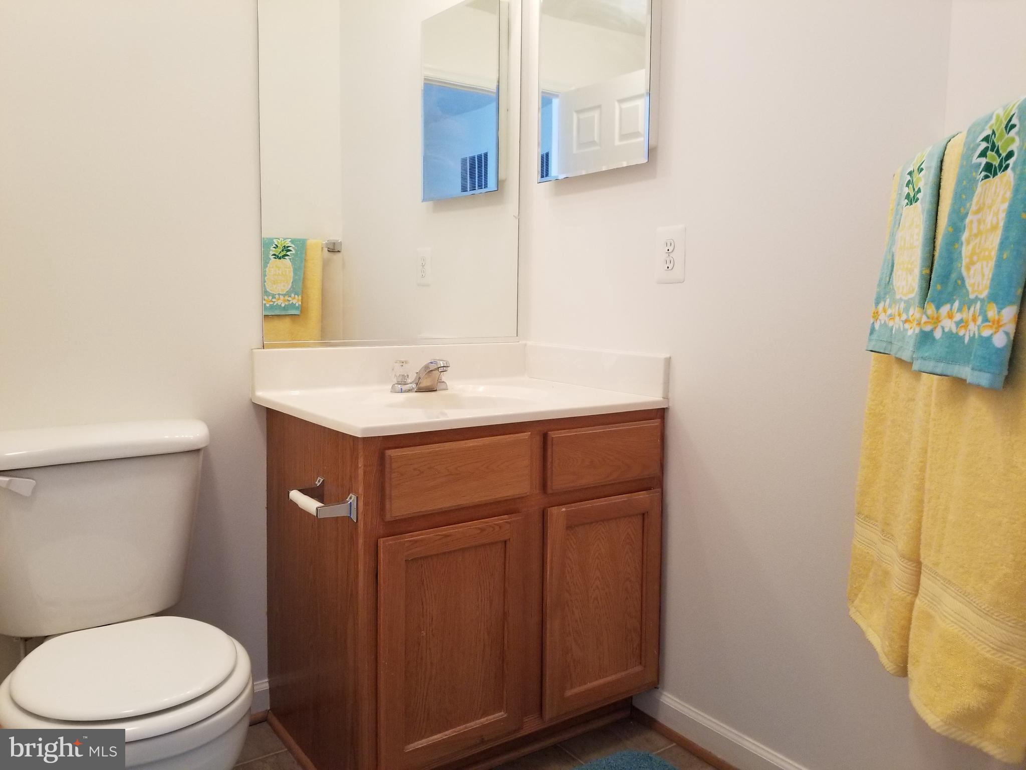 9736 Selfridge Road Baltimore, MD 21220 - Photo 9 of 35 a bathroom with a sink mirror vanity and toilet