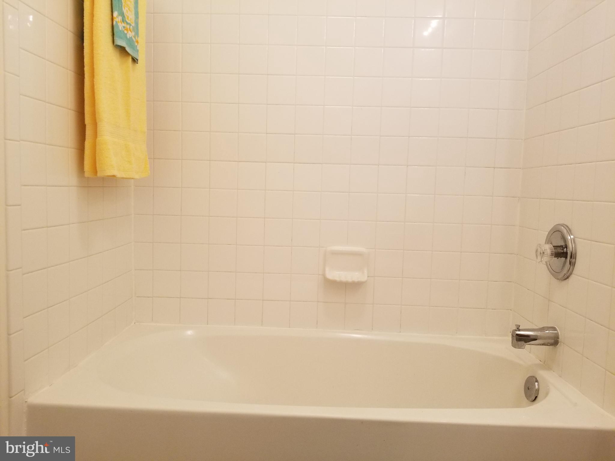 9736 Selfridge Road Baltimore, MD 21220 - Photo 10 of 35 a bathroom with a bathtub