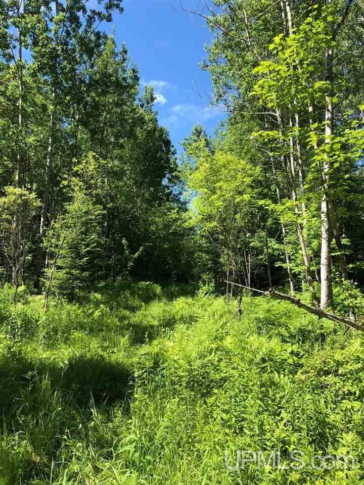 13281 Church P.1 Road Rapid River, MI 49878 - Photo 5 of 23