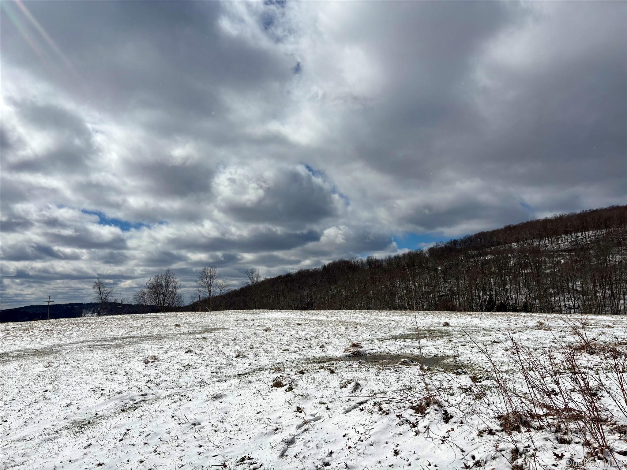 14 Frelich Rd/t R 28 Fremont Center, NY 12736 - Photo 35 of 47