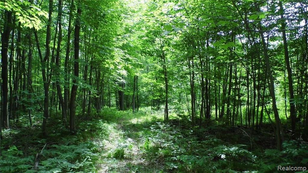 0 Sanilac Road Vassar, MI 48768 - Photo 4 of 9