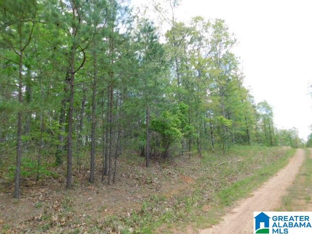 2 Pointe South Drive Wedowee, AL 36278 - Photo 4 of 6