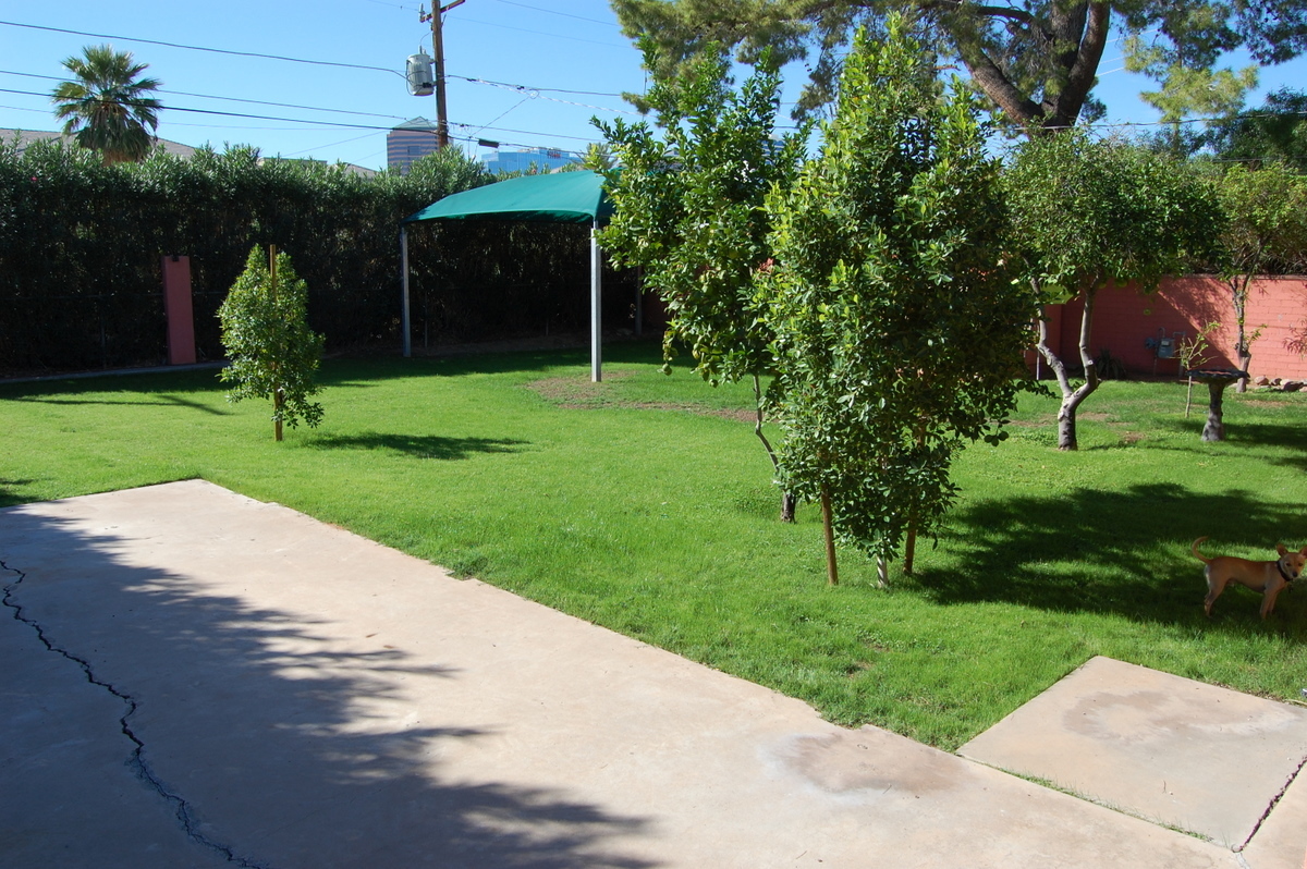 515 East Osborn Road Phoenix, AZ 85012 - Photo 20 of 20 Backyard Splendor