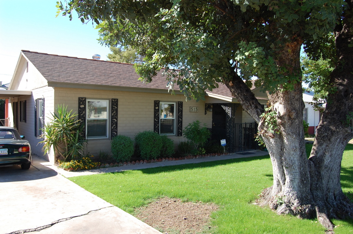 515 East Osborn Road Phoenix, AZ 85012 - Photo 2 of 20 Spectacular Trees
