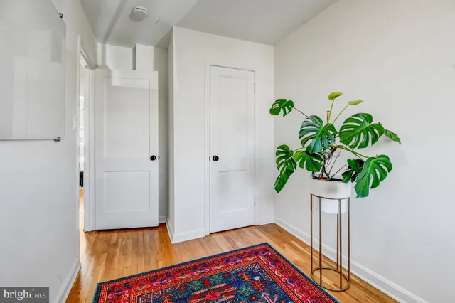 a room with painting and potted plant