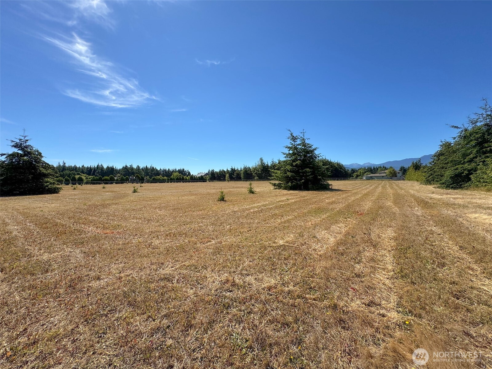 0 Vogt Road Port Angeles, WA 98362 - Photo 11 of 16