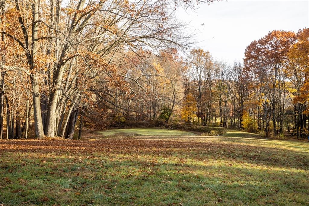 940 Rose Point-Harlansburg Road New Castle, PA 16101 - Photo 3 of 11 a view of outdoor space with trees