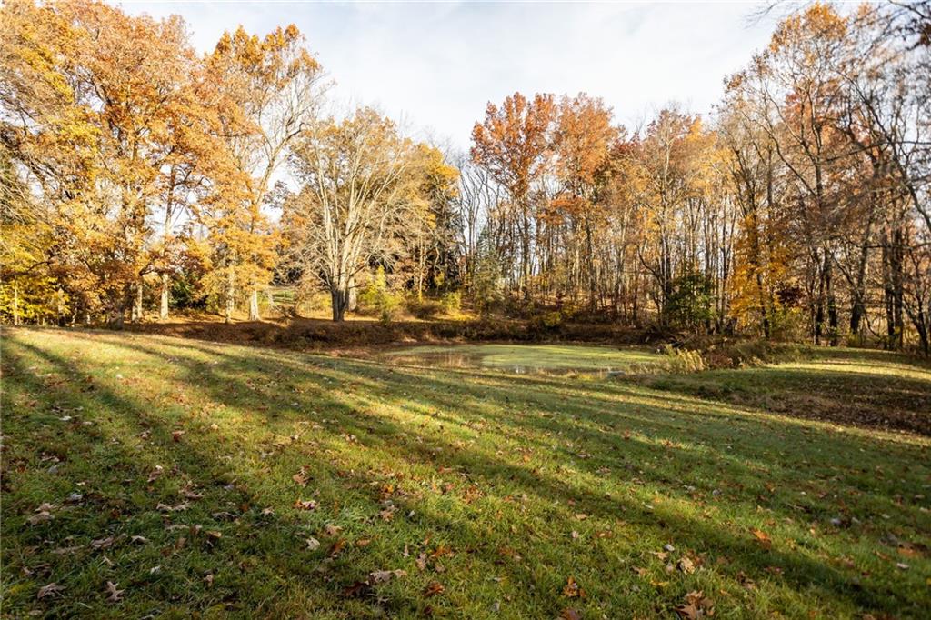 940 Rose Point-Harlansburg Road New Castle, PA 16101 - Photo 4 of 11 a view of grassy field with trees