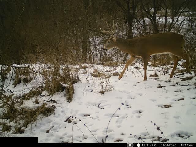 0 U Road Hoyt, KS 66440 - Photo 34 of 40