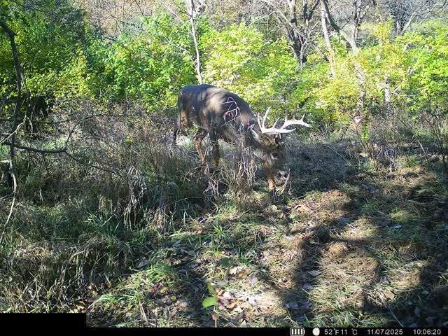 0 U Road Hoyt, KS 66440 - Photo 36 of 40