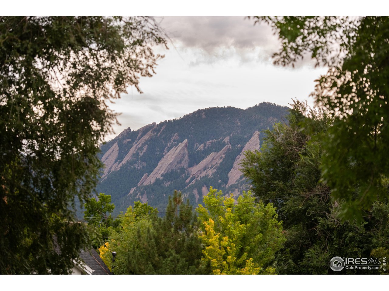 2303 Bluff Street Boulder, CO 80304 - Photo 33 of 40 a view of a yard in front of house
