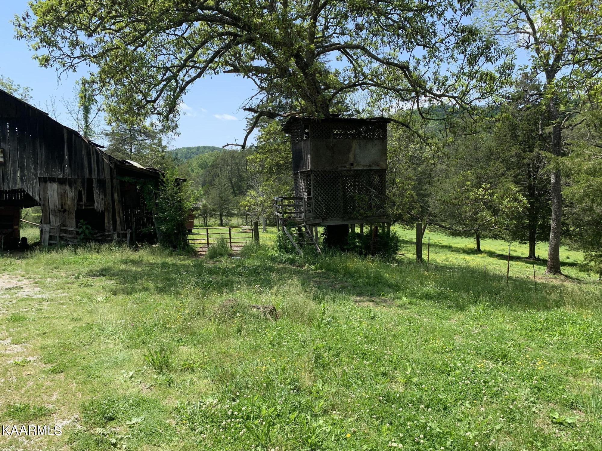 9703 Hill Road Knoxville, TN 37938 - Photo 15 of 27 9703 Hill Rd-09