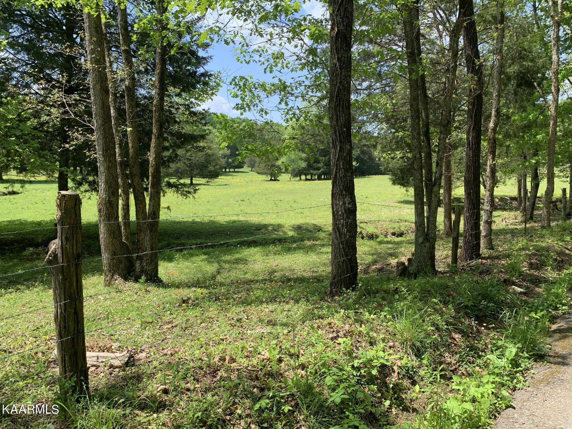 9703 Hill Road Knoxville, TN 37938 - Photo 17 of 27 9703 Hill Rd-03