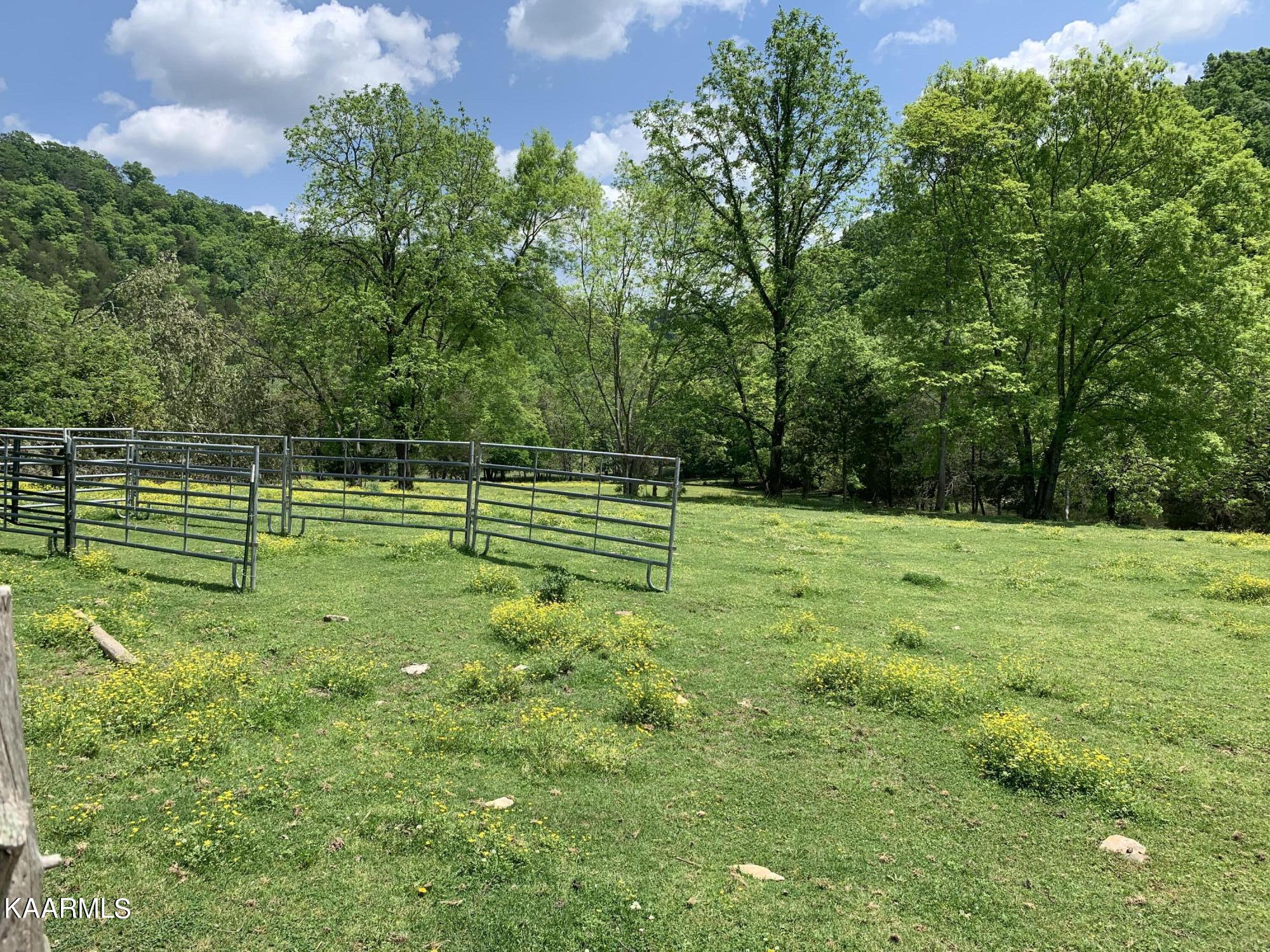 9703 Hill Road Knoxville, TN 37938 - Photo 20 of 27 9703 Hill Rd-08