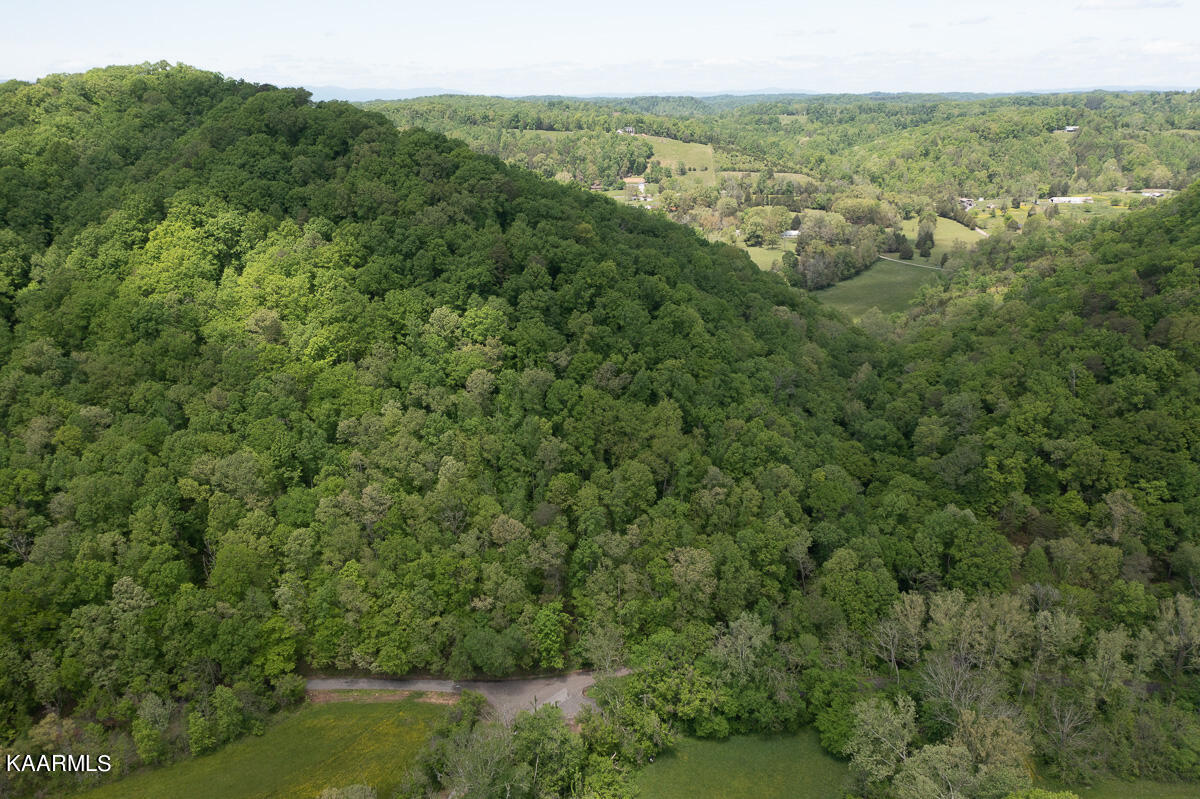 9703 Hill Road Knoxville, TN 37938 - Photo 2 of 27 9703 Hill Rd