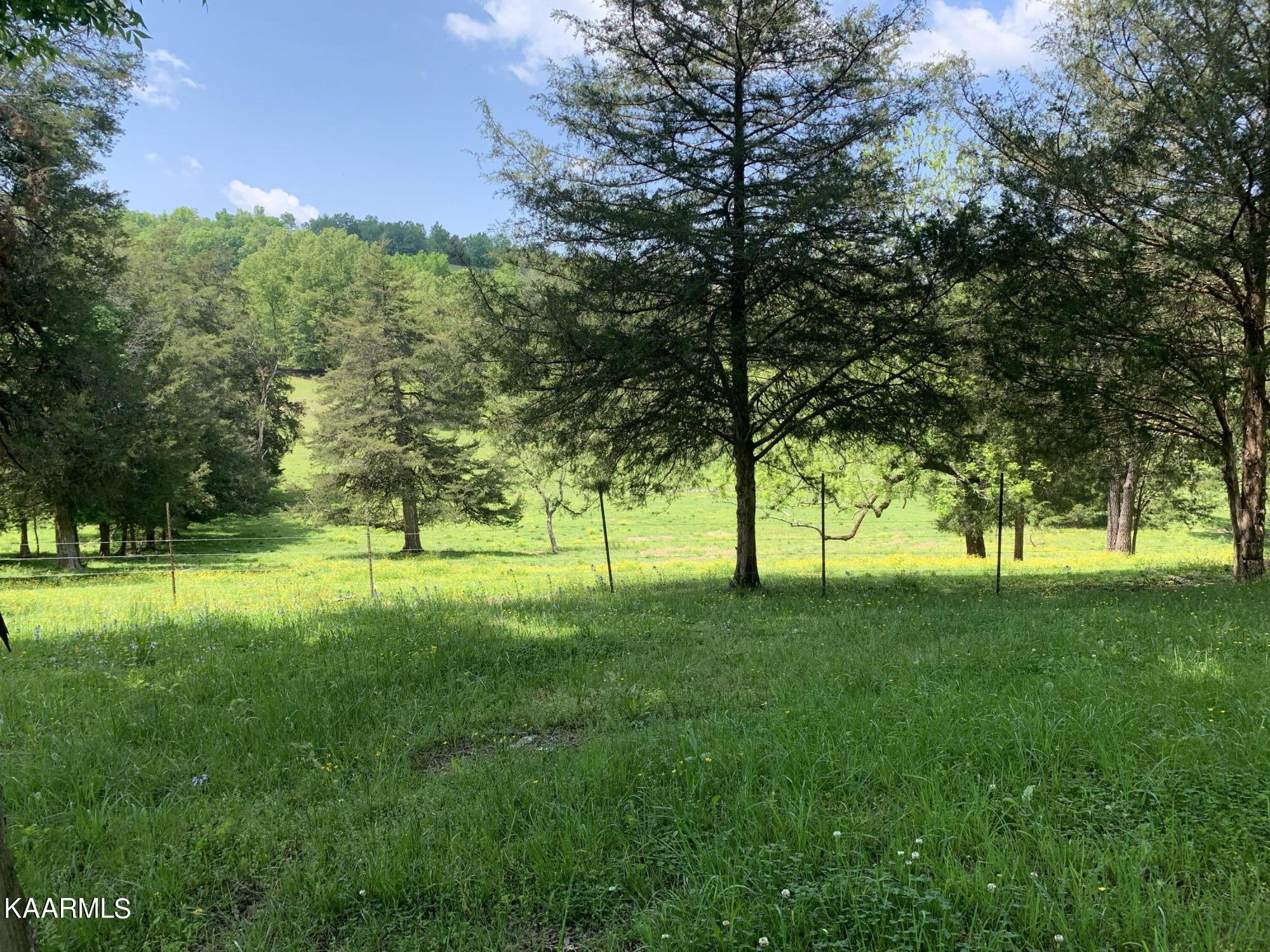 9703 Hill Road Knoxville, TN 37938 - Photo 21 of 27 9703 Hill Rd-10