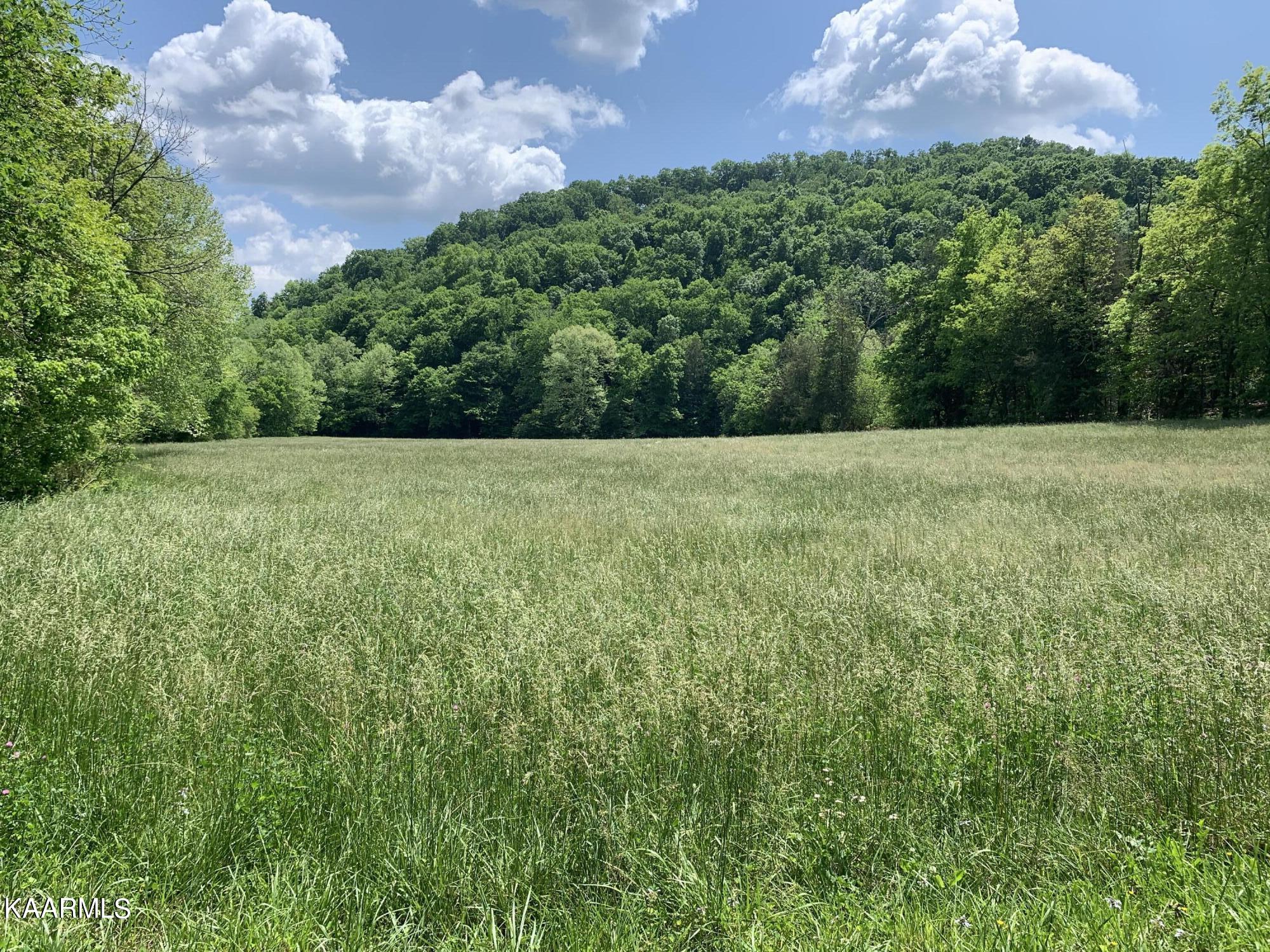 9703 Hill Road Knoxville, TN 37938 - Photo 22 of 27 9703 Hill Rd-13