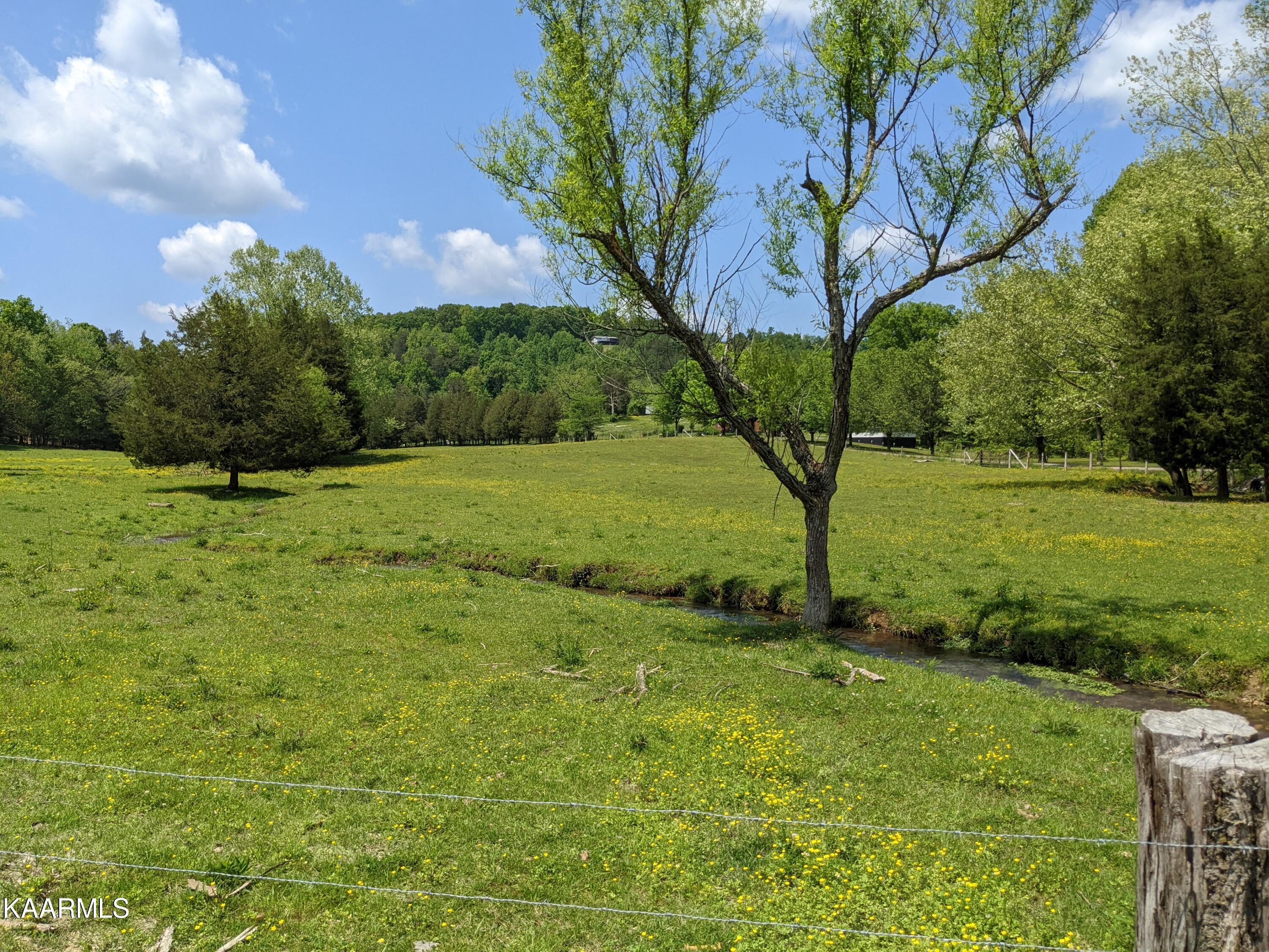 9703 Hill Road Knoxville, TN 37938 - Photo 23 of 27 PXL_20220511_183457367.MP