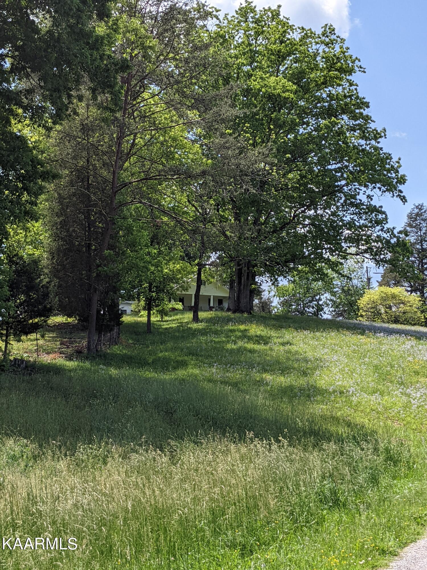 9703 Hill Road Knoxville, TN 37938 - Photo 24 of 27 PXL_20220511_183410456.MP