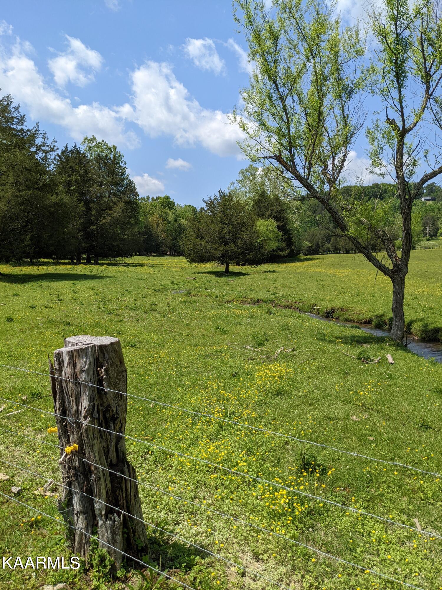 9703 Hill Road Knoxville, TN 37938 - Photo 25 of 27 PXL_20220511_183345177.MP