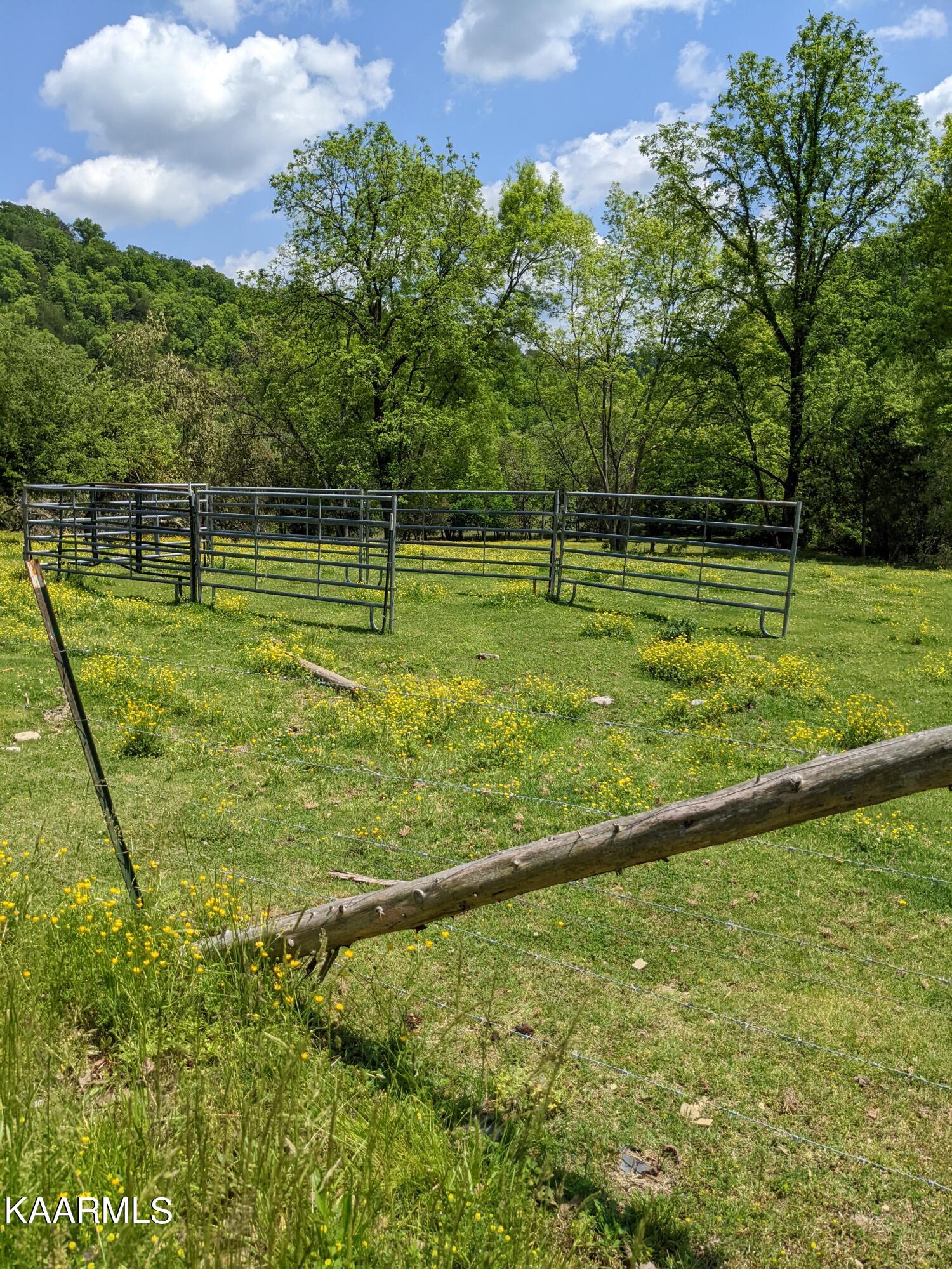 9703 Hill Road Knoxville, TN 37938 - Photo 26 of 27 PXL_20220511_182354926.MP