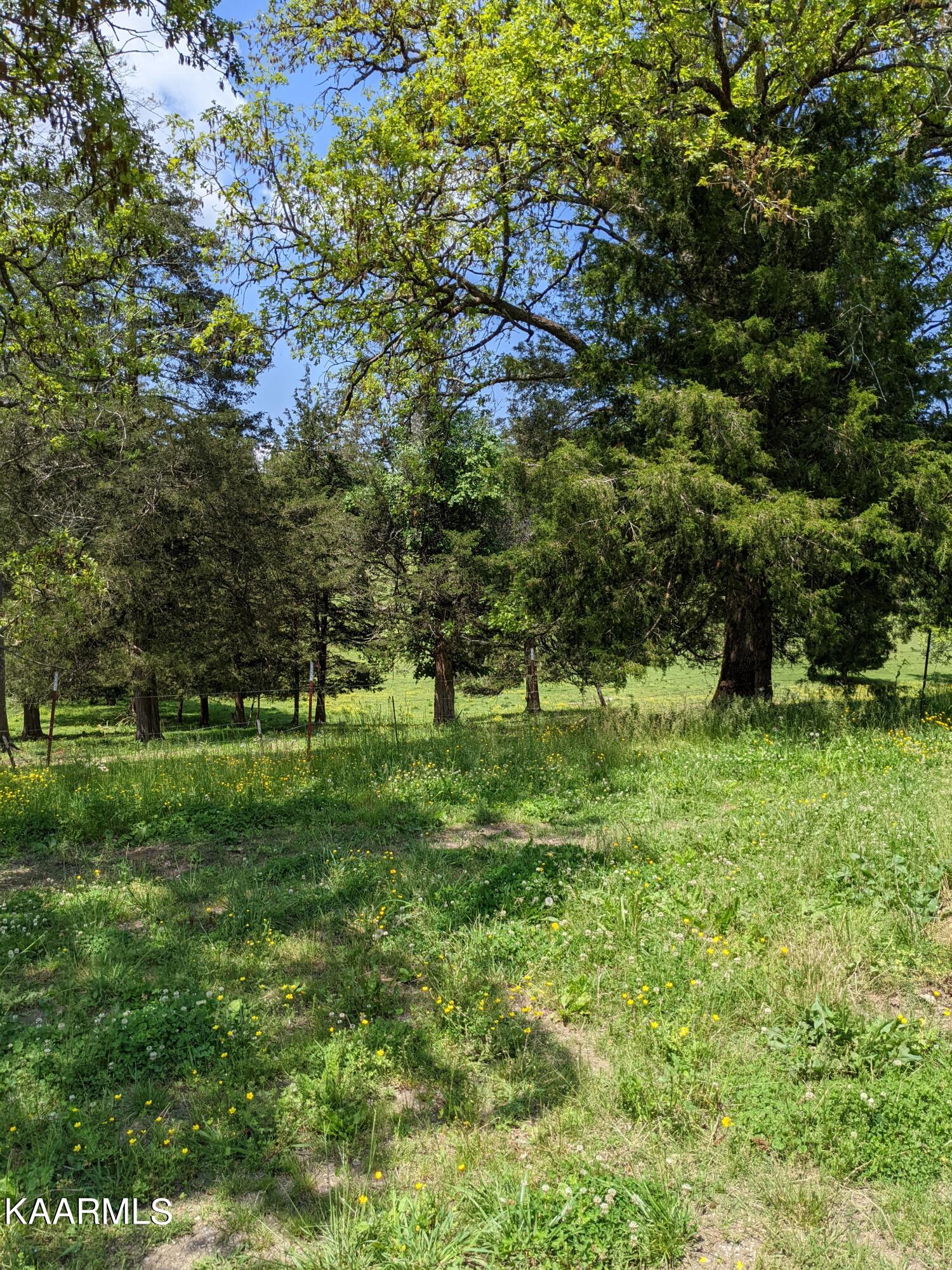 9703 Hill Road Knoxville, TN 37938 - Photo 27 of 27 PXL_20220511_182258518.MP