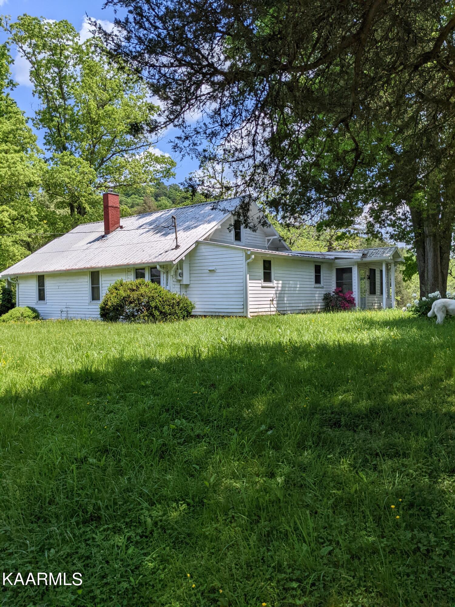 9703 Hill Road Knoxville, TN 37938 - Photo 10 of 27 PXL_20220511_182559717.MP