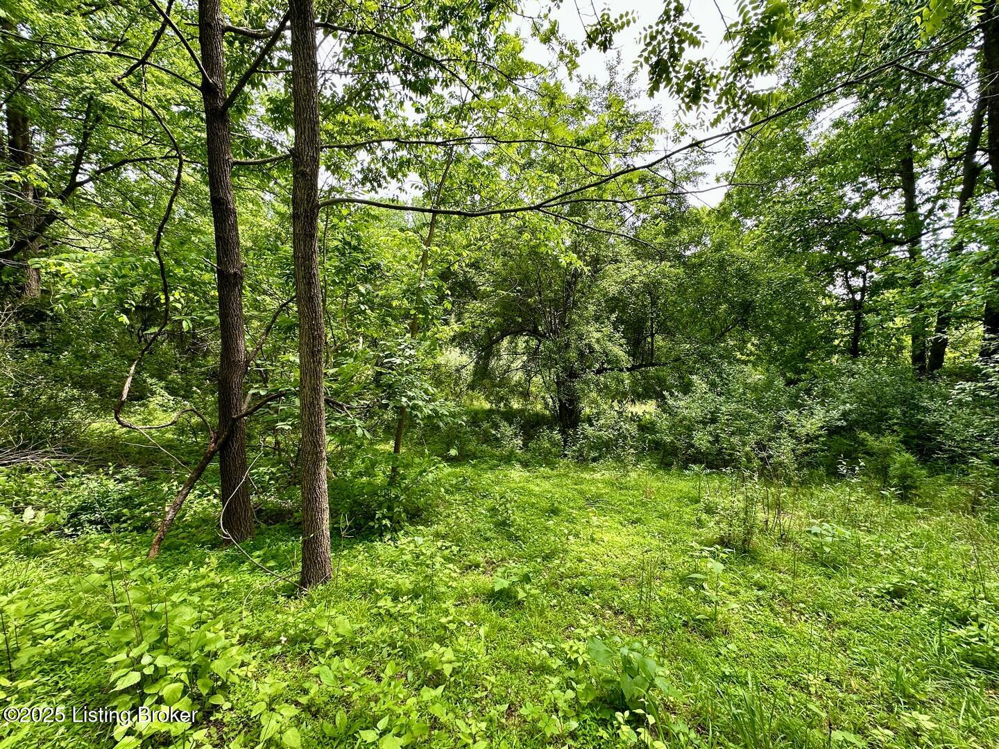 1371 Sunbeam Road Leitchfield, KY 42754 - Photo 10 of 16 0 Sunbeam Rd4
