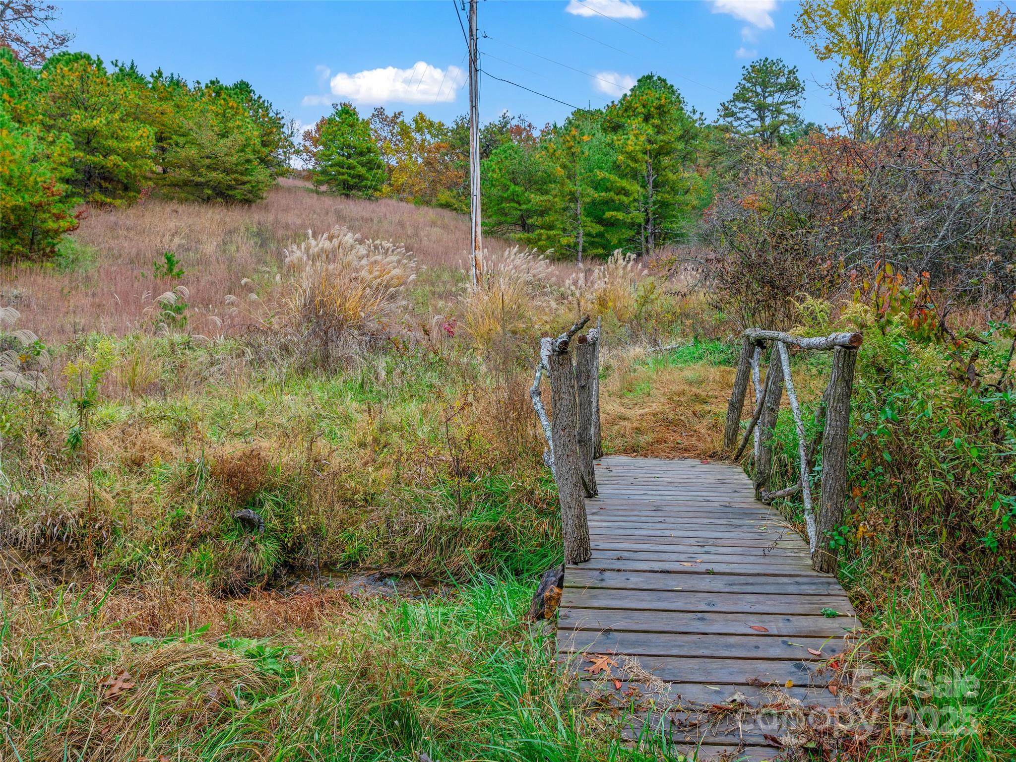 1659 Holcombe Branch Road Weaverville, NC 28787 - Photo 12 of 31 a view of a yard with plants