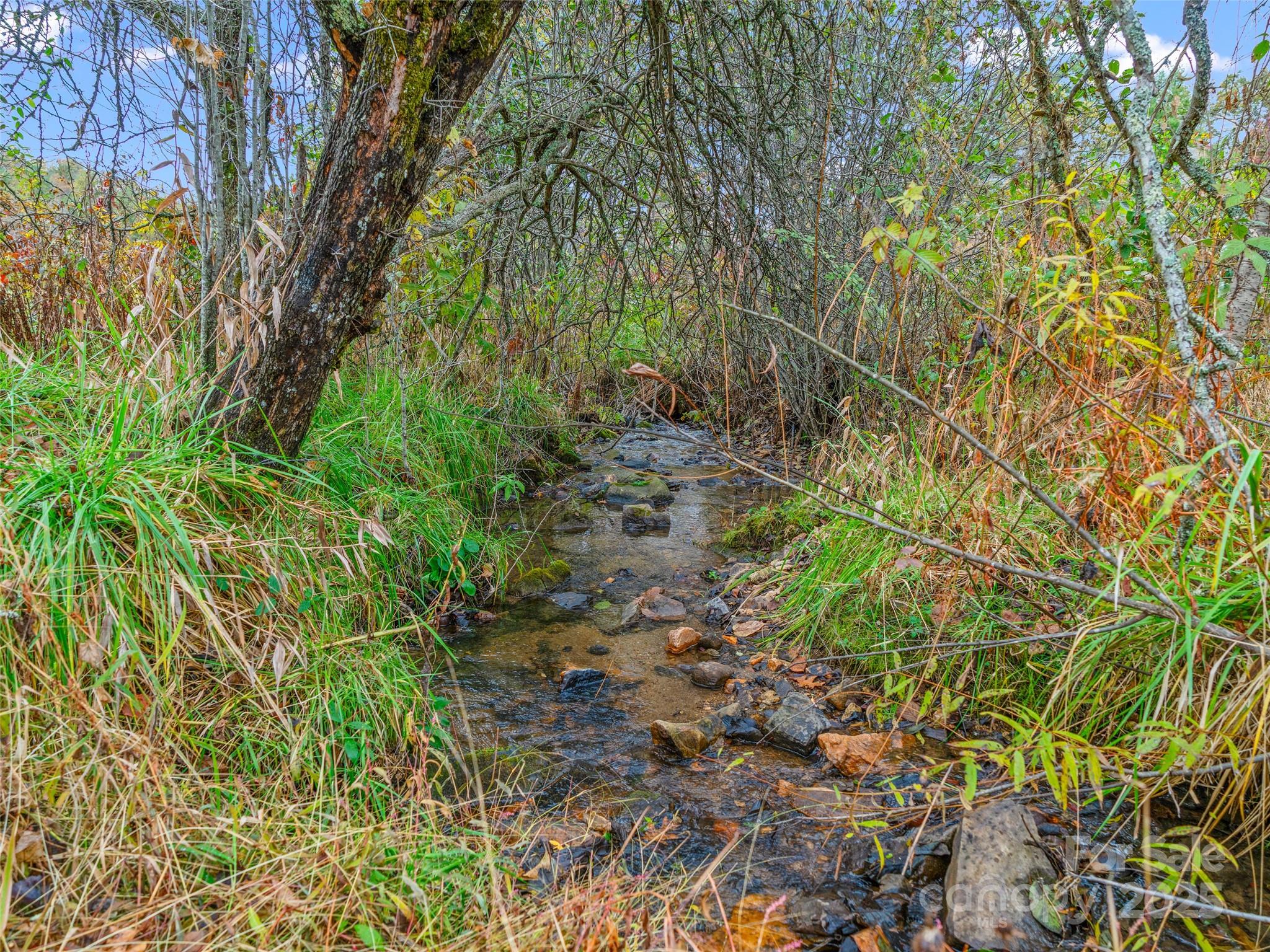 1659 Holcombe Branch Road Weaverville, NC 28787 - Photo 13 of 31 a backyard of a house with lots of green space